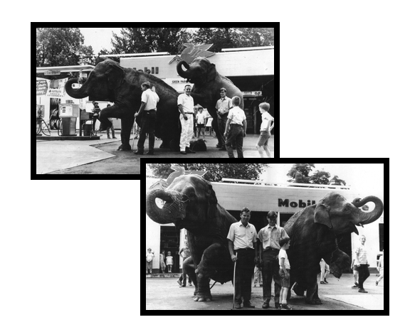Two historic black-and-white photos of elephants posing at the Mobil gas station that is now Tony's Sub Shop